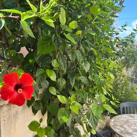 Casa Con Piscina Cerca Del Mar Tatil Evi *